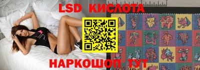 стаф Нальчик
